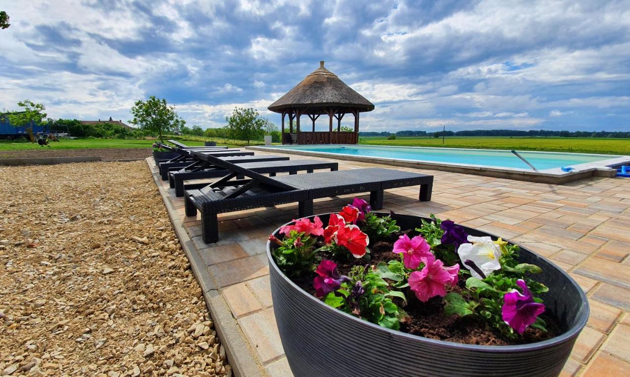 Tisza White House Bed & Breakfast Tiszaszolos Ngoại thất bức ảnh