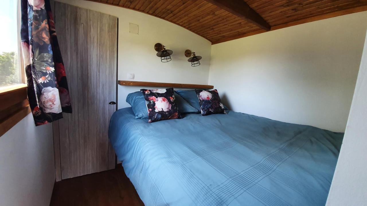 Tisza White House Bed & Breakfast Tiszaszolos Ngoại thất bức ảnh