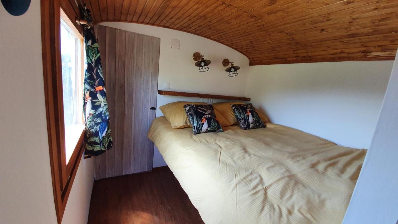 Tisza White House Bed & Breakfast Tiszaszolos Ngoại thất bức ảnh