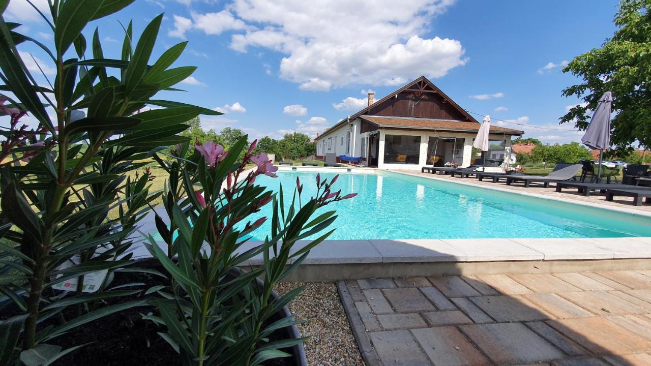 Tisza White House Bed & Breakfast Tiszaszolos Ngoại thất bức ảnh
