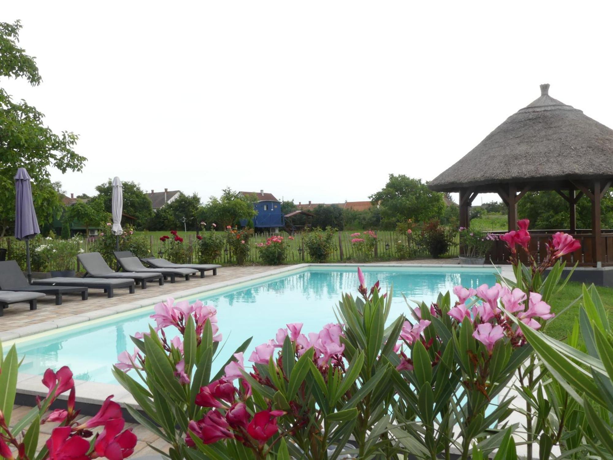 Tisza White House Bed & Breakfast Tiszaszolos Ngoại thất bức ảnh