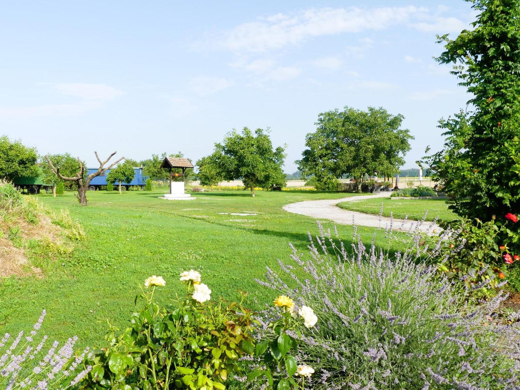 Tisza White House Bed & Breakfast Tiszaszolos Ngoại thất bức ảnh